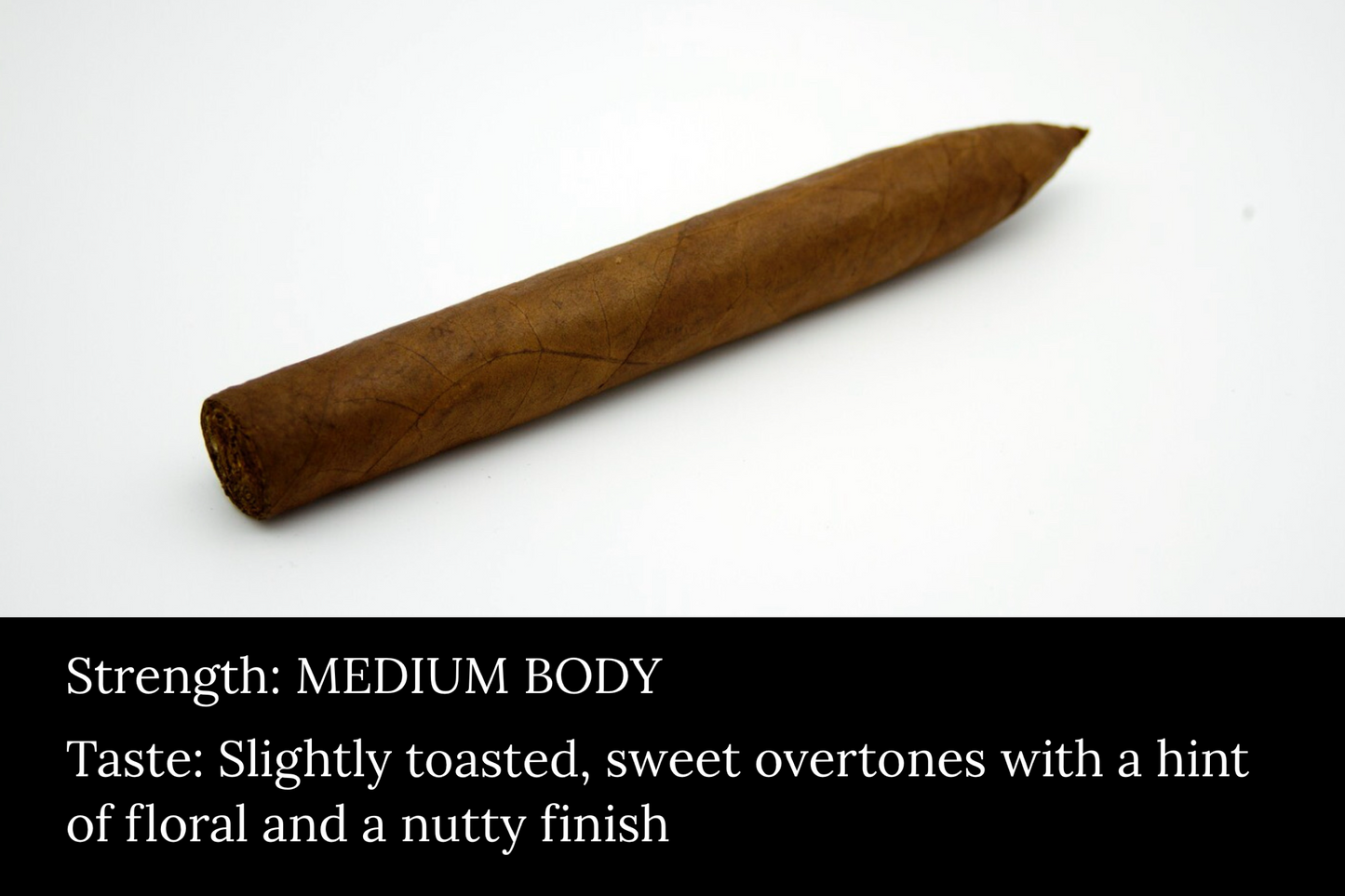Torpedo | 6 "1/2 x 54