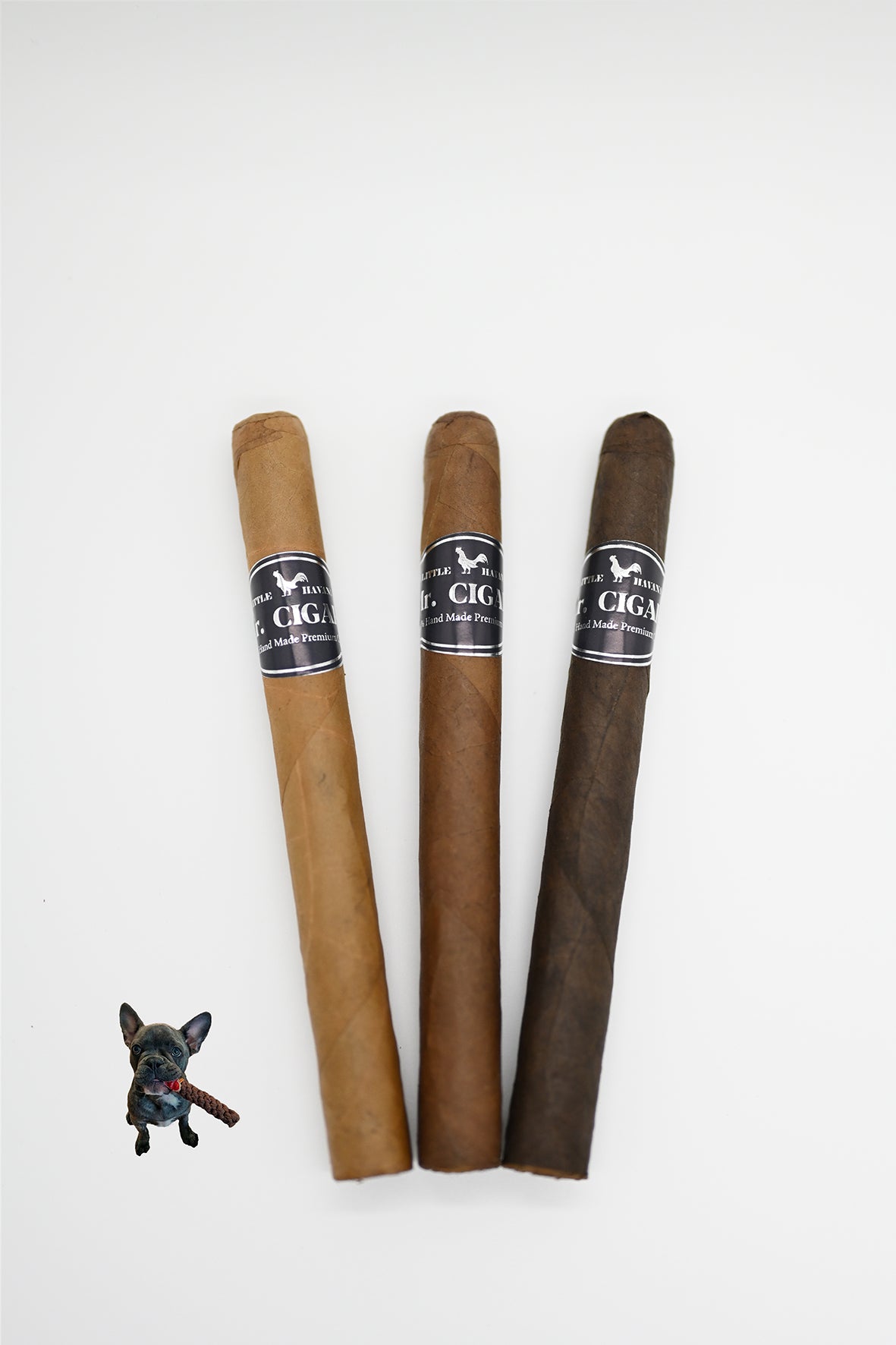 Churchill | 7" x 48