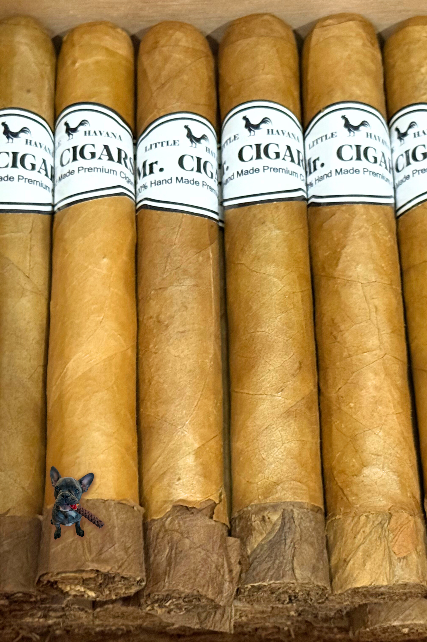 San Carlos (Toro 6" x 54)