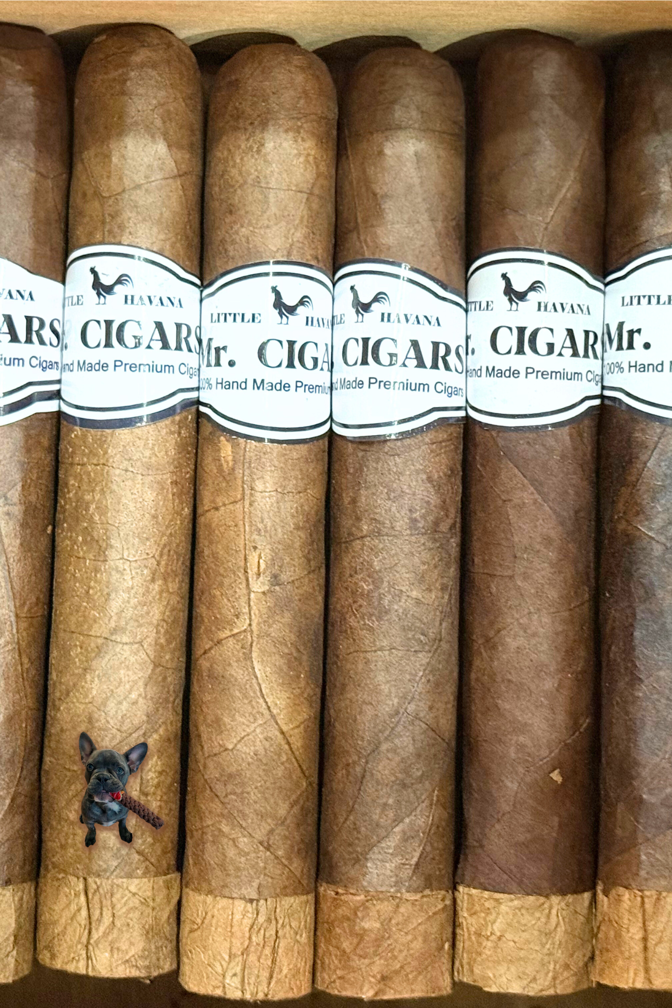 San Carlos (Toro 6" x 54)