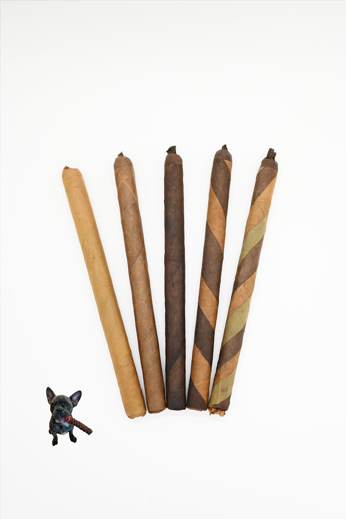 Lancero | 7 1/2" x 38