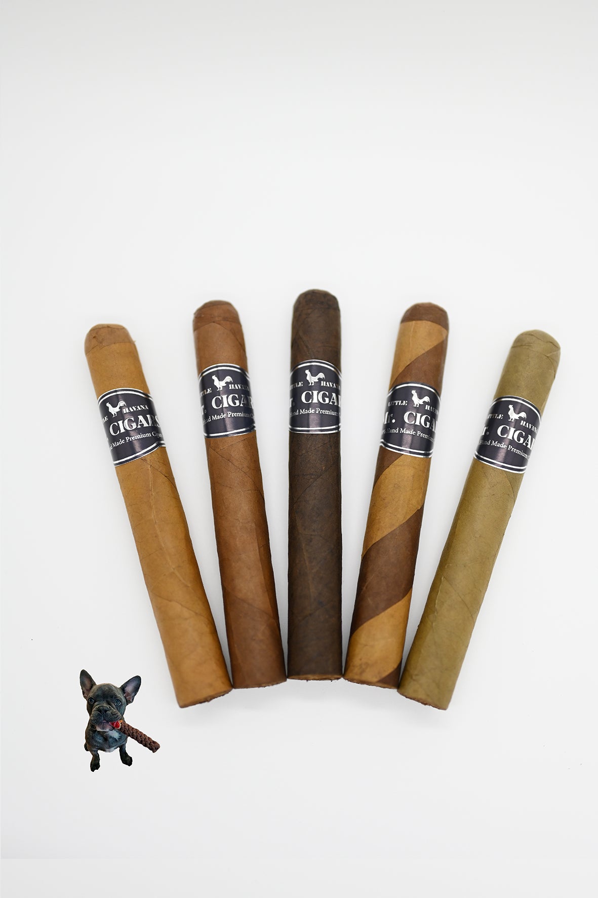 paddington tobacco Tytoń fajkowy McConnell Paddington 50g paddington tobacco Tytoń fajkowy McConnell Paddington 50g
