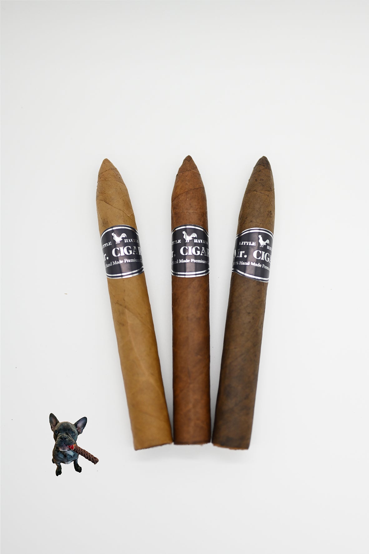 Torpedo | 6 "1/2 x 54