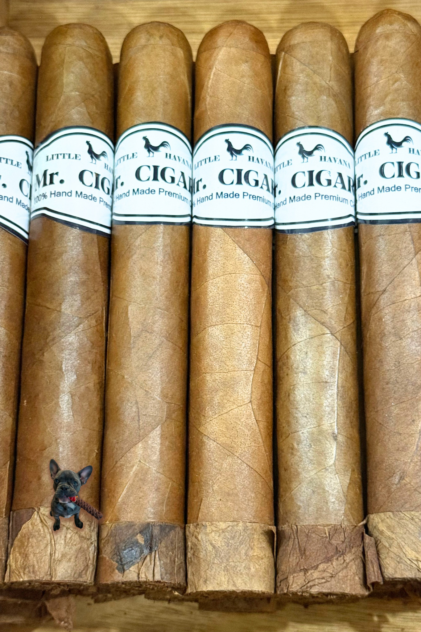 San Carlos (Toro 6" x 54)