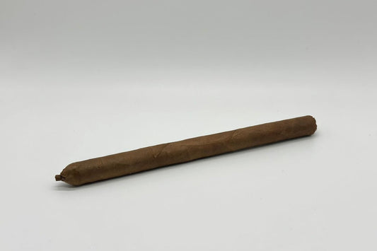 Lancero Connecticut